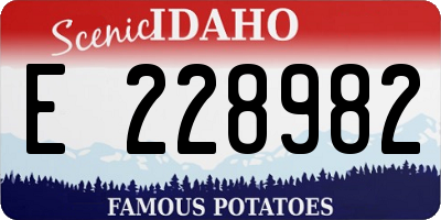 ID license plate E228982
