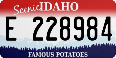 ID license plate E228984