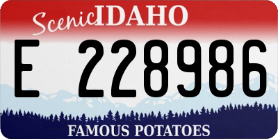 ID license plate E228986