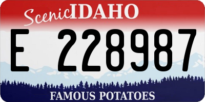 ID license plate E228987