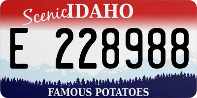 ID license plate E228988