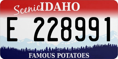 ID license plate E228991