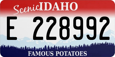 ID license plate E228992