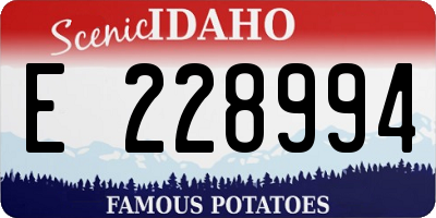 ID license plate E228994