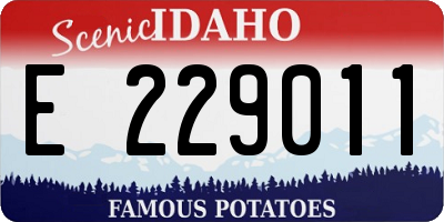 ID license plate E229011