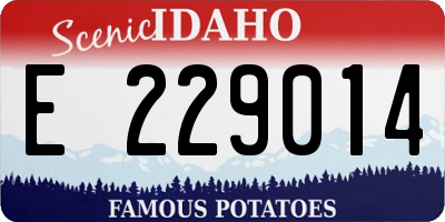 ID license plate E229014
