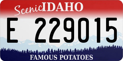 ID license plate E229015