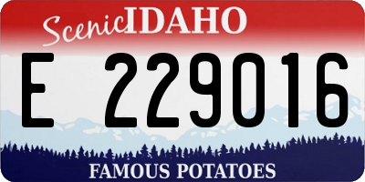 ID license plate E229016