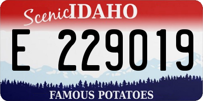 ID license plate E229019