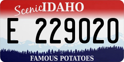 ID license plate E229020