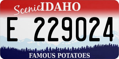 ID license plate E229024