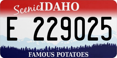 ID license plate E229025