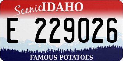 ID license plate E229026