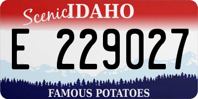 ID license plate E229027