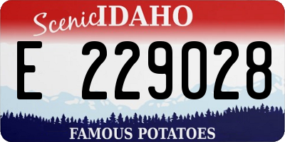 ID license plate E229028