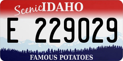 ID license plate E229029