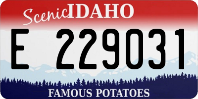 ID license plate E229031