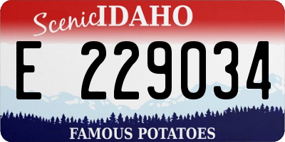 ID license plate E229034