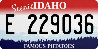 ID license plate E229036