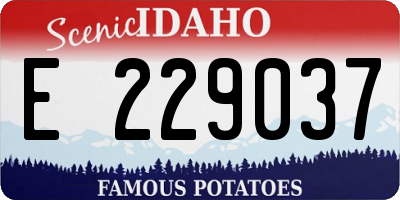 ID license plate E229037