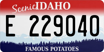 ID license plate E229040