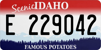 ID license plate E229042