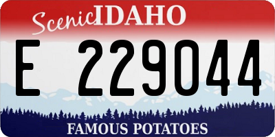 ID license plate E229044
