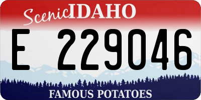 ID license plate E229046
