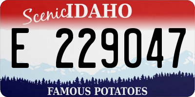 ID license plate E229047