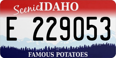 ID license plate E229053