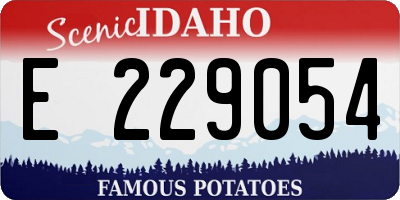 ID license plate E229054