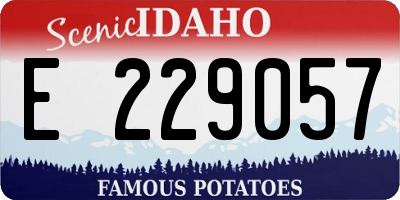 ID license plate E229057