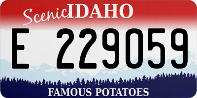 ID license plate E229059