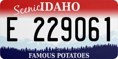 ID license plate E229061