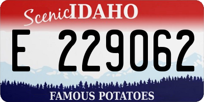 ID license plate E229062