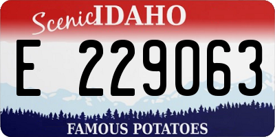 ID license plate E229063