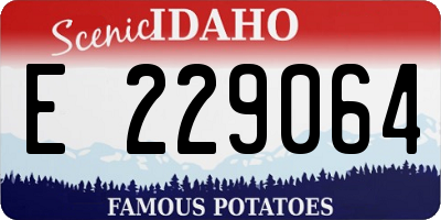 ID license plate E229064