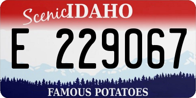 ID license plate E229067
