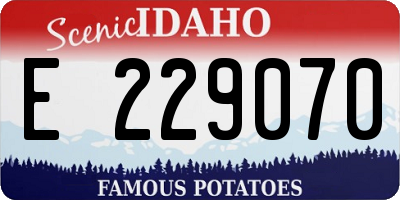 ID license plate E229070