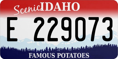 ID license plate E229073