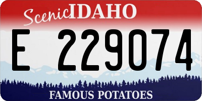 ID license plate E229074