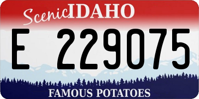 ID license plate E229075