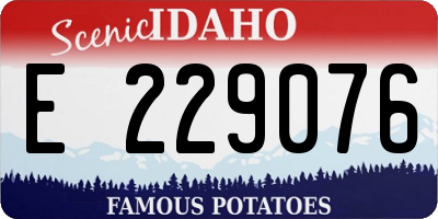 ID license plate E229076