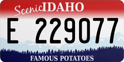 ID license plate E229077