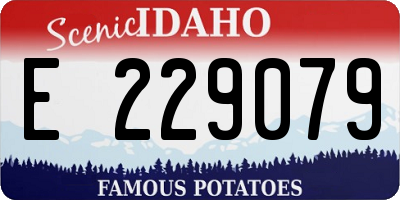 ID license plate E229079