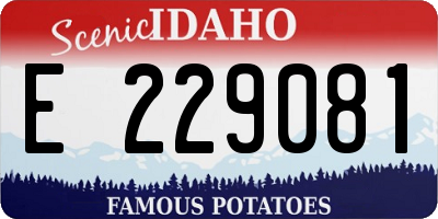 ID license plate E229081