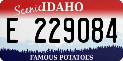 ID license plate E229084
