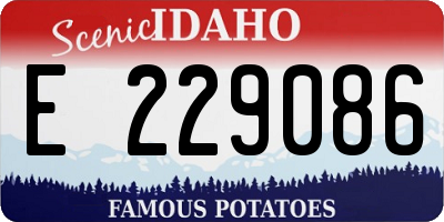 ID license plate E229086