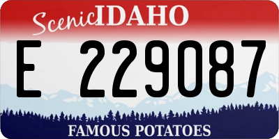 ID license plate E229087