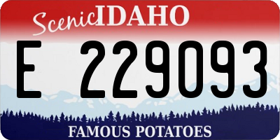 ID license plate E229093
